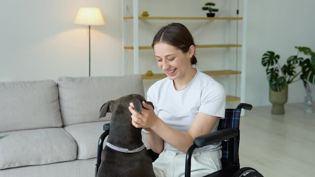 Young girl in a wheelchair petting her dog in a bright room