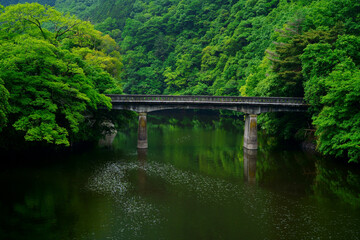 Fototapeta na wymiar 新緑の内場池に架かる古い橋(香川県高松市)