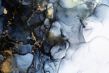 Marble ink abstract art from exquisite original painting for abstract background . Painting was painted on high quality paper texture to create smooth marble background pattern of ombre alcohol ink . © InfiniteFlow