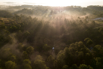 Obraz na płótnie Canvas Forest and mist in central america