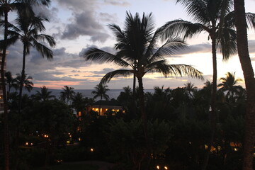 Fototapeta premium evening in the tropics