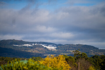 mount wellington, the mountain national park over looking Hobart, Tasmania, Australia 