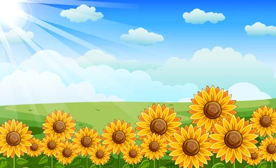 Fototapeten Field of Sunflowers With the Shining Sun © bahtiarmaulana