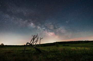 night sky with milky way and decayed tree lying on a big meadow with view of horizon and mountain