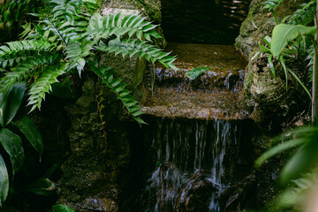 waterfall with green plants 