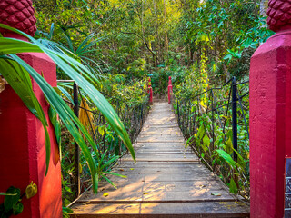 Red Bridge In Tropical Rainforest