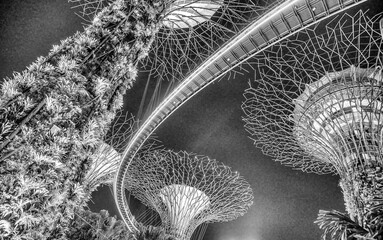 SINGAPORE - JANUARY 1ST, 2020: Garden Rhapsody light shows in the Supertree Grove, Gardens By The...