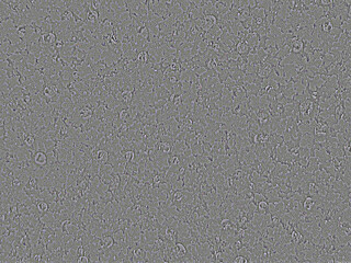 water droplets on Azolla graphic background gray tones