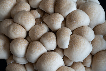 mushrooms on the market