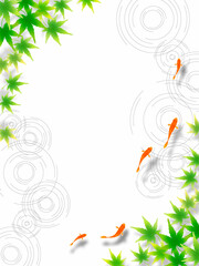 上から見た泳ぐ金魚と水紋と夏もみじ