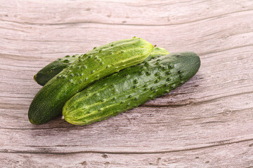 Fersh juicy green cucumbers heap