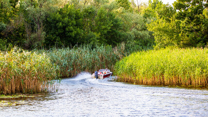  landscape a motor boat sails on a reedy river