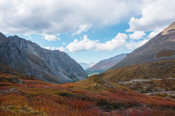 Colorful alpine landscape with peaked grassy hill in fading autumn colors with view to mountain vastness. Picturesque mountain scenery with motley autumn flora in hanging valley among large mountains.