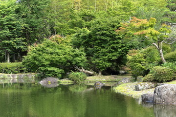 Fototapeta na wymiar びわこ文化公園の初夏の風景