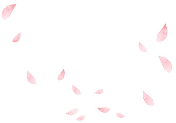 水彩のピンクの花びら