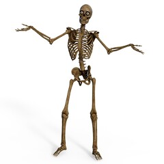 3d-illustration of an isolated fantasy skeleton