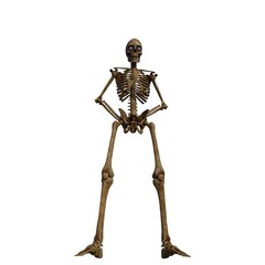3d-illustration of an isolated fantasy skeleton