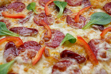 Pizza with sausage and bell pepper, close-up. studio light