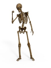 3d-illustration of an isolated fantasy skeleton is the champion