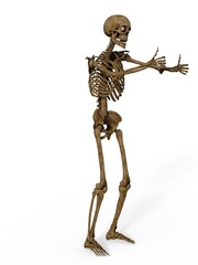 3d-illustration of an isolated fantasy skeleton giving thumbs up