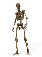 3d-illustration of an isolated fantasy skeleton