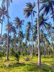 Obraz premium Hat Thang Sai Beach in Prachuap Khiri Khan, Thailand