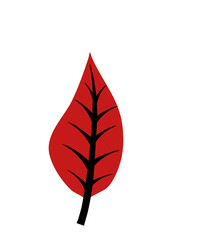 Hand drawn Organic Autumn Leaf