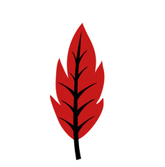 Hand drawn Organic Autumn Leaf