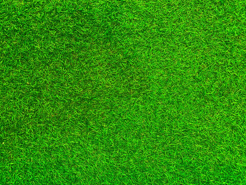 Green grass texture background grass garden concept used for making green background football pitch, Grass Golf, green lawn pattern textured background. © Sittipol 