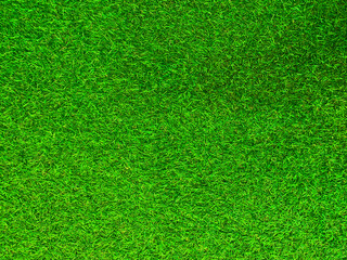 Naklejka na ściany i meble Green grass texture background grass garden concept used for making green background football pitch, Grass Golf, green lawn pattern textured background.
