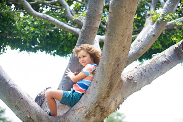 Cute little kid boy enjoying climbing on tree on summer day. Cute child learning to climb, having fun in summer park. Happy kids time in nature.