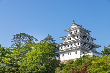 Fototapeta na wymiar 青空と新緑が美しい、岐阜県郡上八幡城