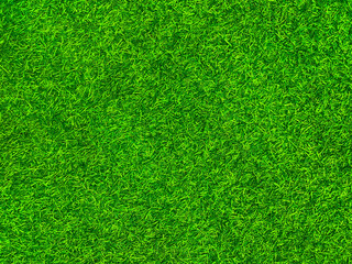 Green grass texture background grass garden  concept used for making green background football pitch, Grass Golf,  green lawn pattern textured background.