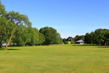 Naklejka premium park in the city