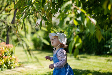 baby girl in denim dress stand under the tree in shade at sunny summer day, toddler have fun outdoor and looking up curiously to the tree leaves