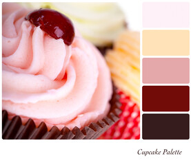 Cupcakes in a colour palette with complimentary colour swatches. 
