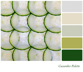 Cucumber slices in a colour palette with complimentary colour swatches. 