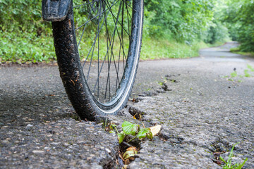 A bicycle tire is stuck in a crack in the asphalt. Bad subsoil on bike paths is the cause of many...