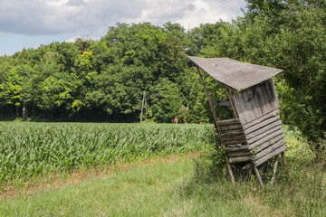 Hochsitz, Jagd, jagen, Waldrand, Wild, Wildbret, Ansitz, Nahrungsmittel, Anblick, Kanzel, Maisfeld,...