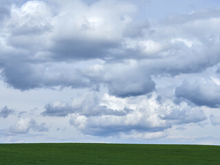 Cumulus clouds and field. Horizon and sky with field