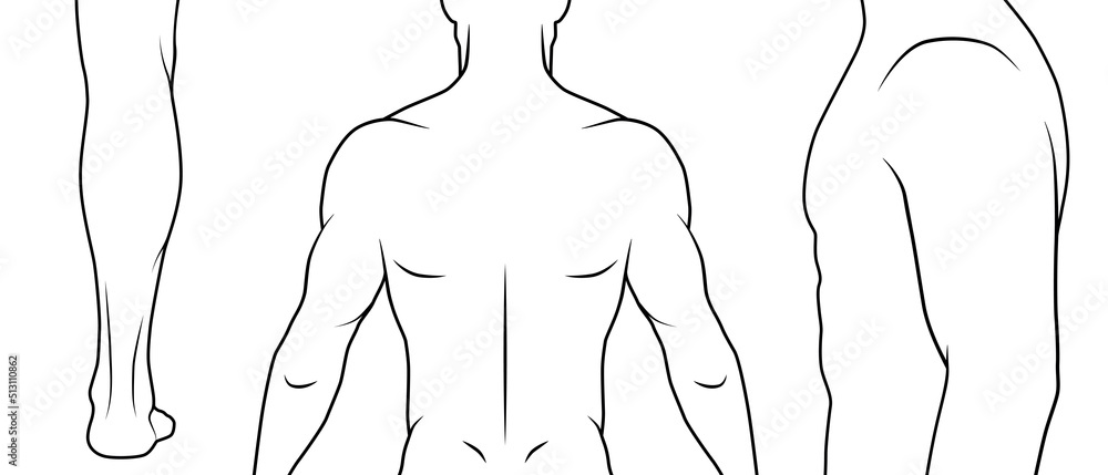 Sticker Vector outline illustration male body. Parts of body for tattoo example, sport, medical illustrations. Black and white. 