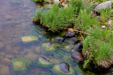 The pond and the ground shore