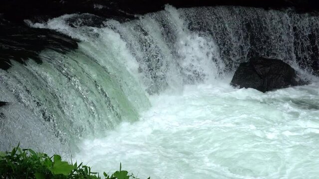 Hokkaido,Japan - June 23, 2022: Cherry salmons or Sakura-masu going upstream of Shari river, Hokkaido, Japan
