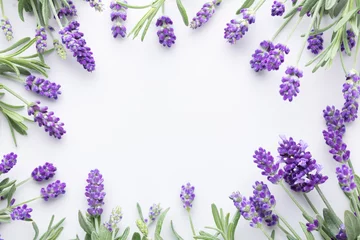 Poster Flowers composition, frame made of lavender flowers on pastel background. © gitusik