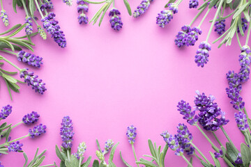 Flowers composition, frame made of lavender flowers on pastel background.