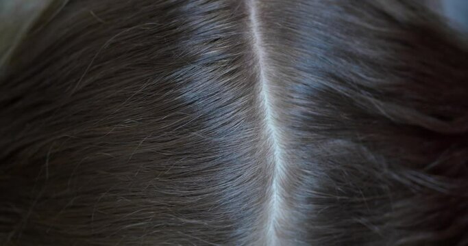 Trichologist working with client, closeup. Examining hair and scalp