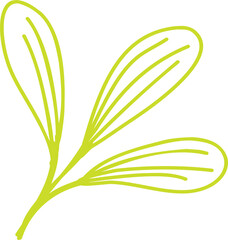 leaf line hand drawn