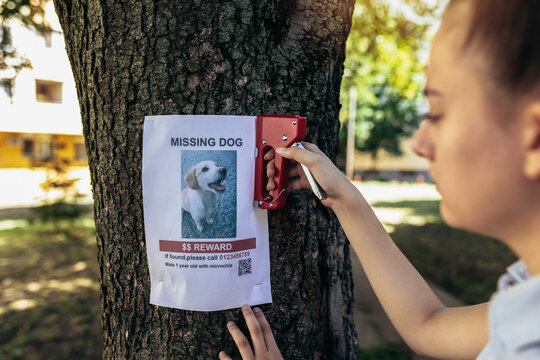 Teenage girl pasting posters of the missing dog