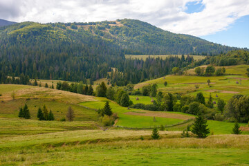 mountainous rural scenery in september. trees and grassy meadows on the hills at the foot of a ridge. warm sunny weather
