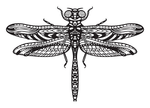 Line drawing of for dragonfly stickers, tattoos and designs